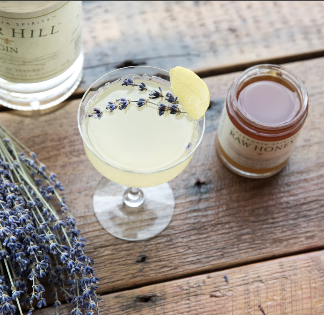 Cocktail in a coupe glass garnished with lavender with Barr Hill Gin and Raw Honey