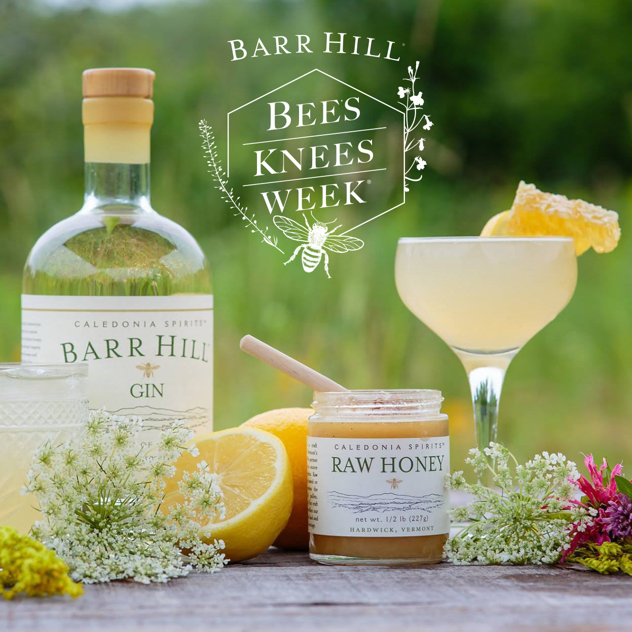 Barr Hill Sustainability - Honey, Gin, and Lemon - ingredients for a Bee's Knees Cocktail