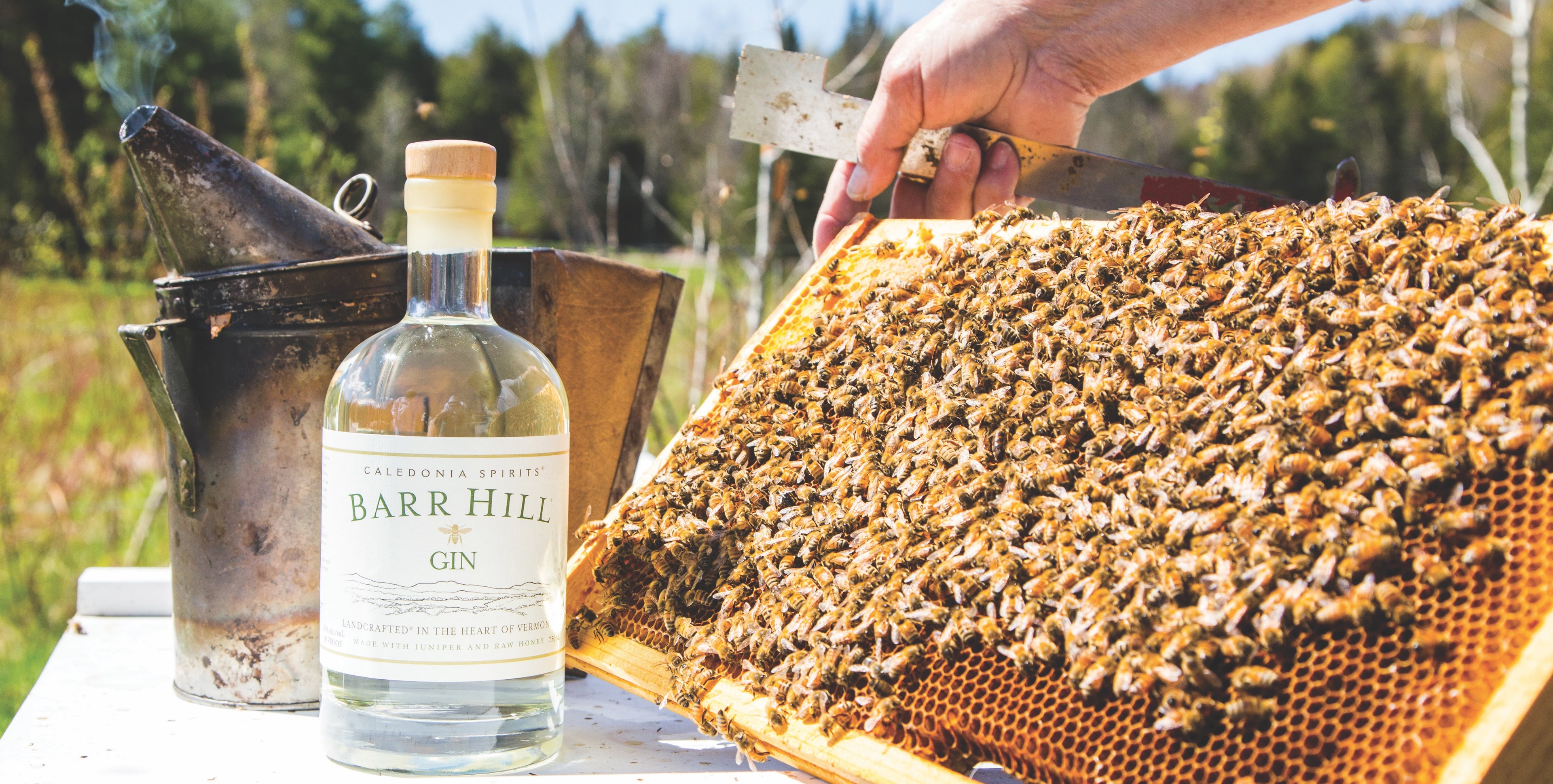 Barr Hill Gin bottle with bees from a hive