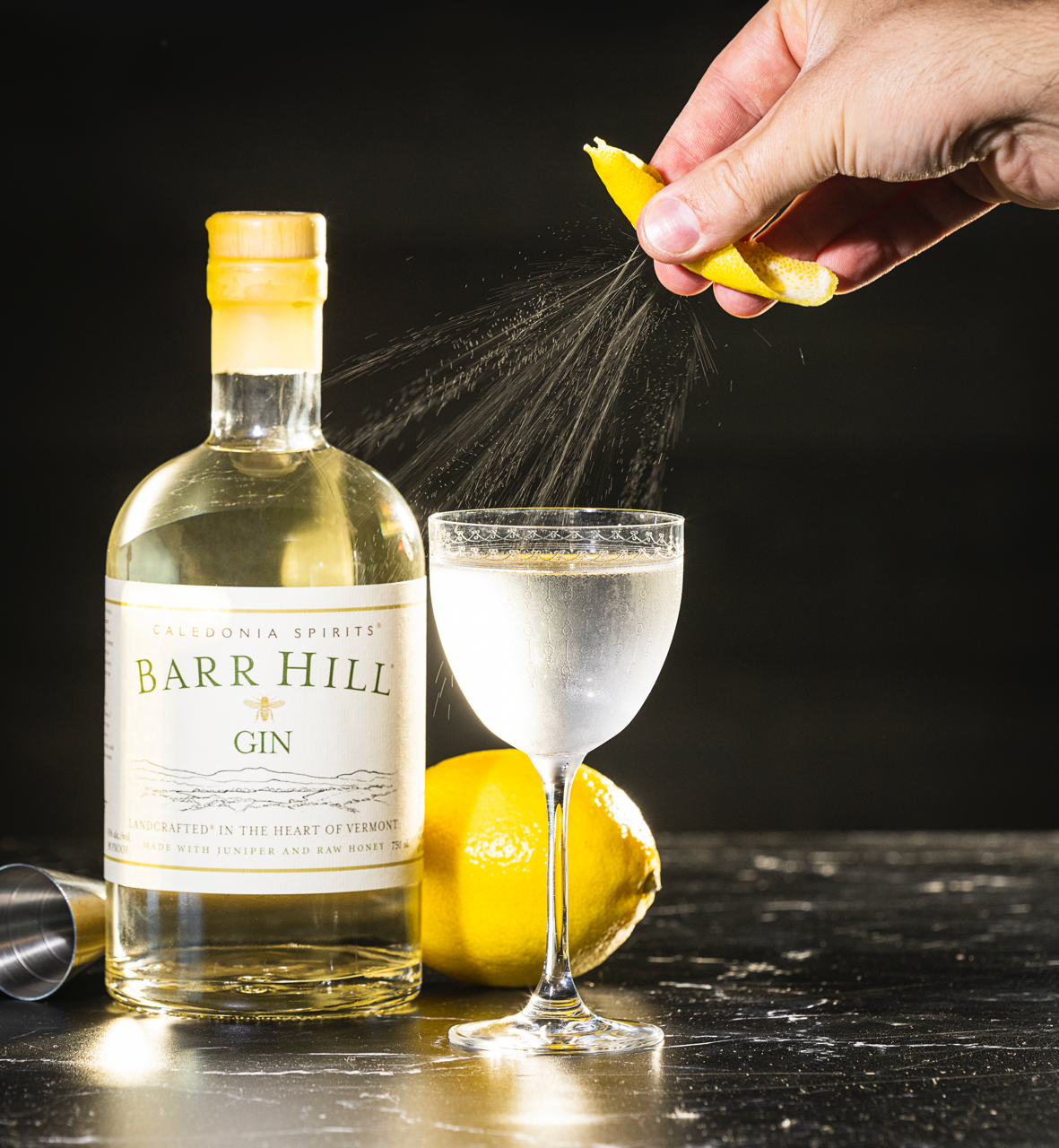 Classic gin martini with a lemon twist