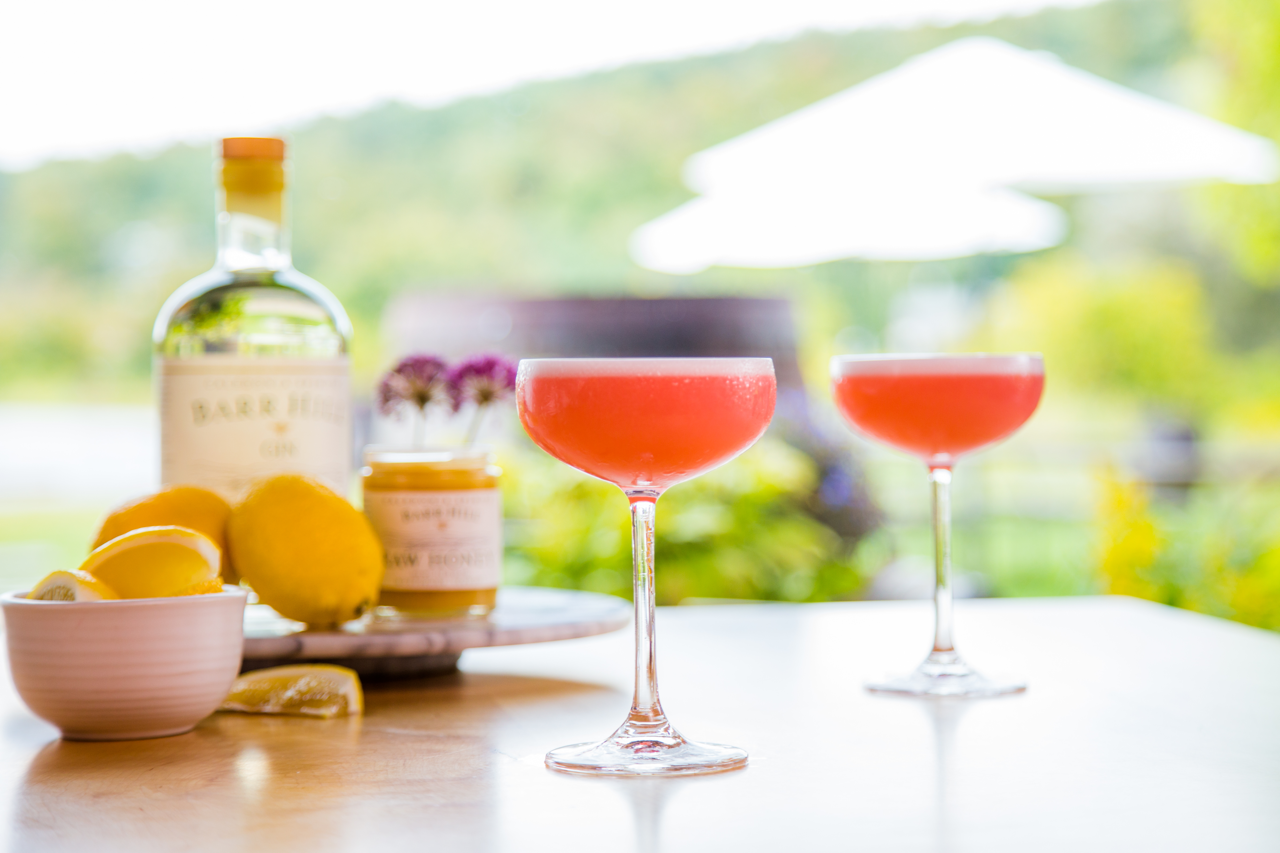 Bright pink summery gin cocktail