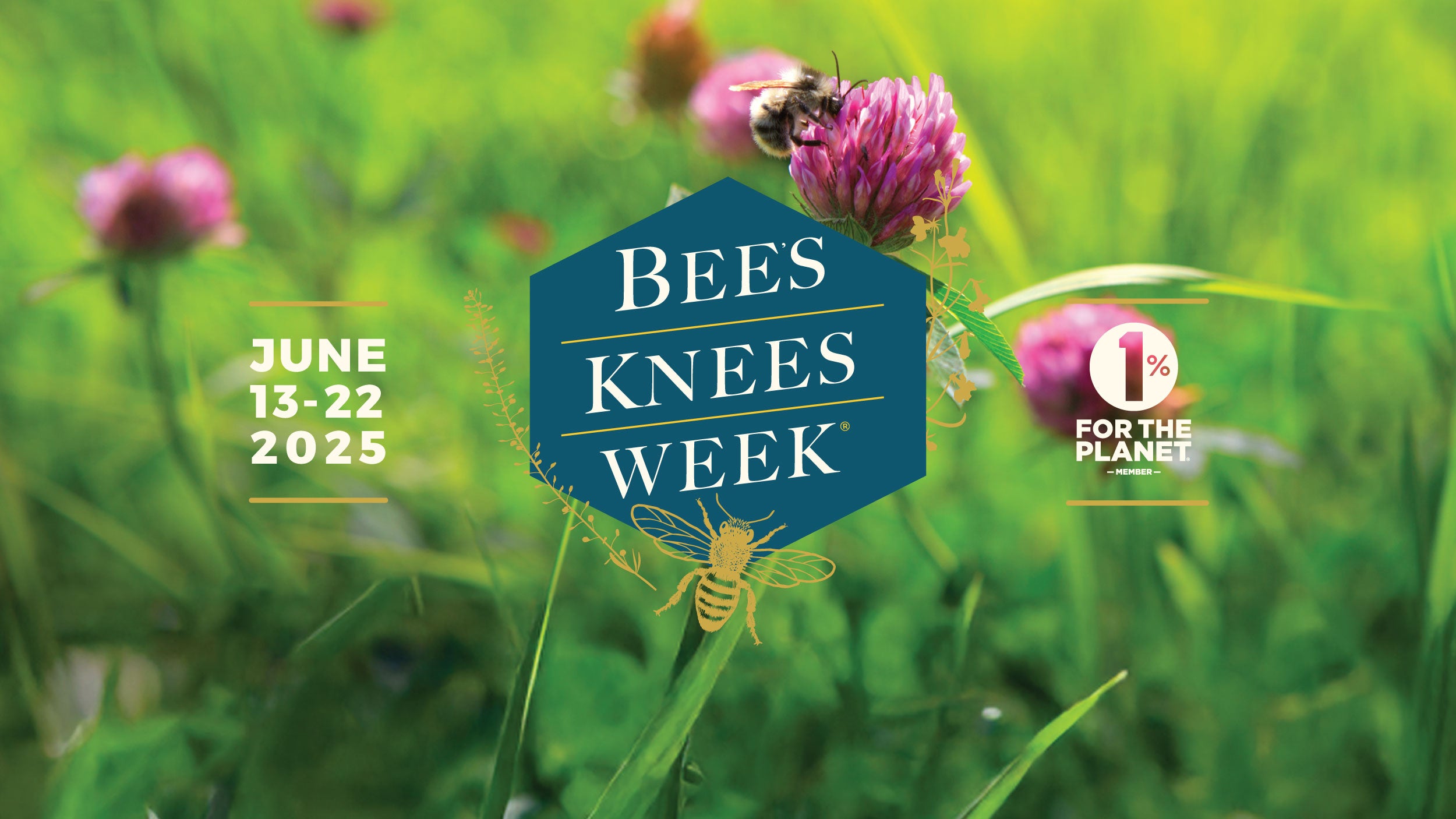 Barr Hill Bee's Knees Week June 13-22, 2025