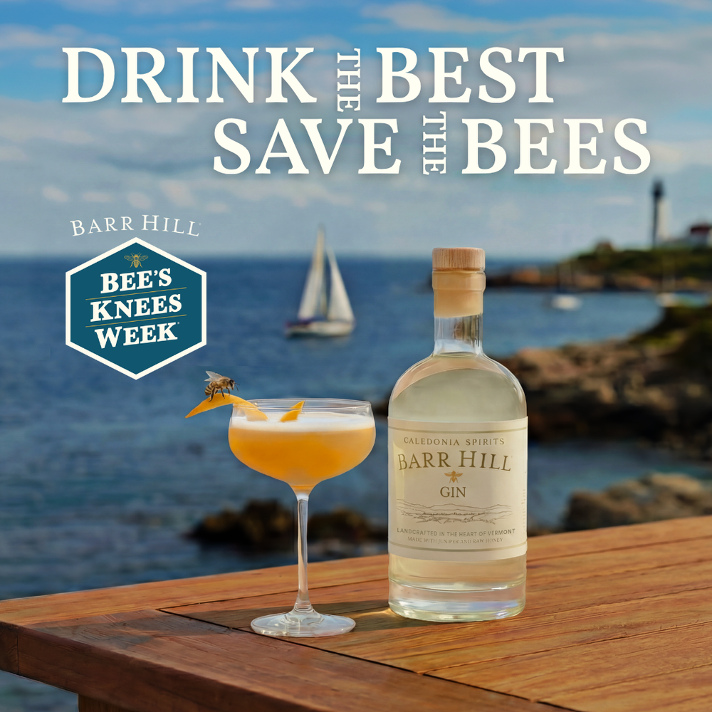 Bottle of Barr Hill Gin with a Bee's Knees cocktail on a wooden surface by the sea, promoting Bee's Knees Week.