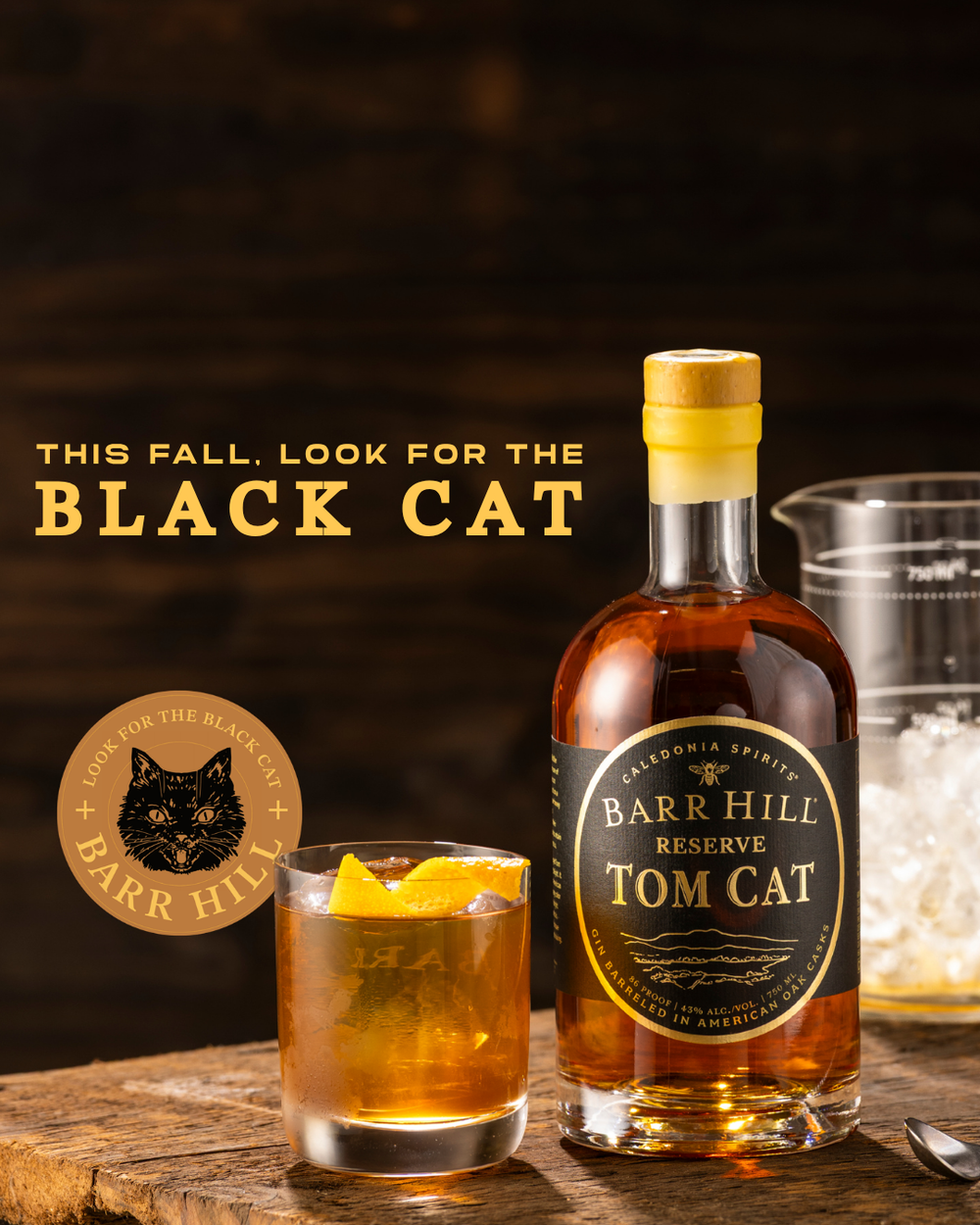 A bottle of Barr Hill Reserve Tom Cat aged gin stands on a rustic wooden surface beside a rocks glass filled with an amber Negroni cocktail and orange peel garnish and promotional text reading 'This Fall, Look for the Black Cat.'.