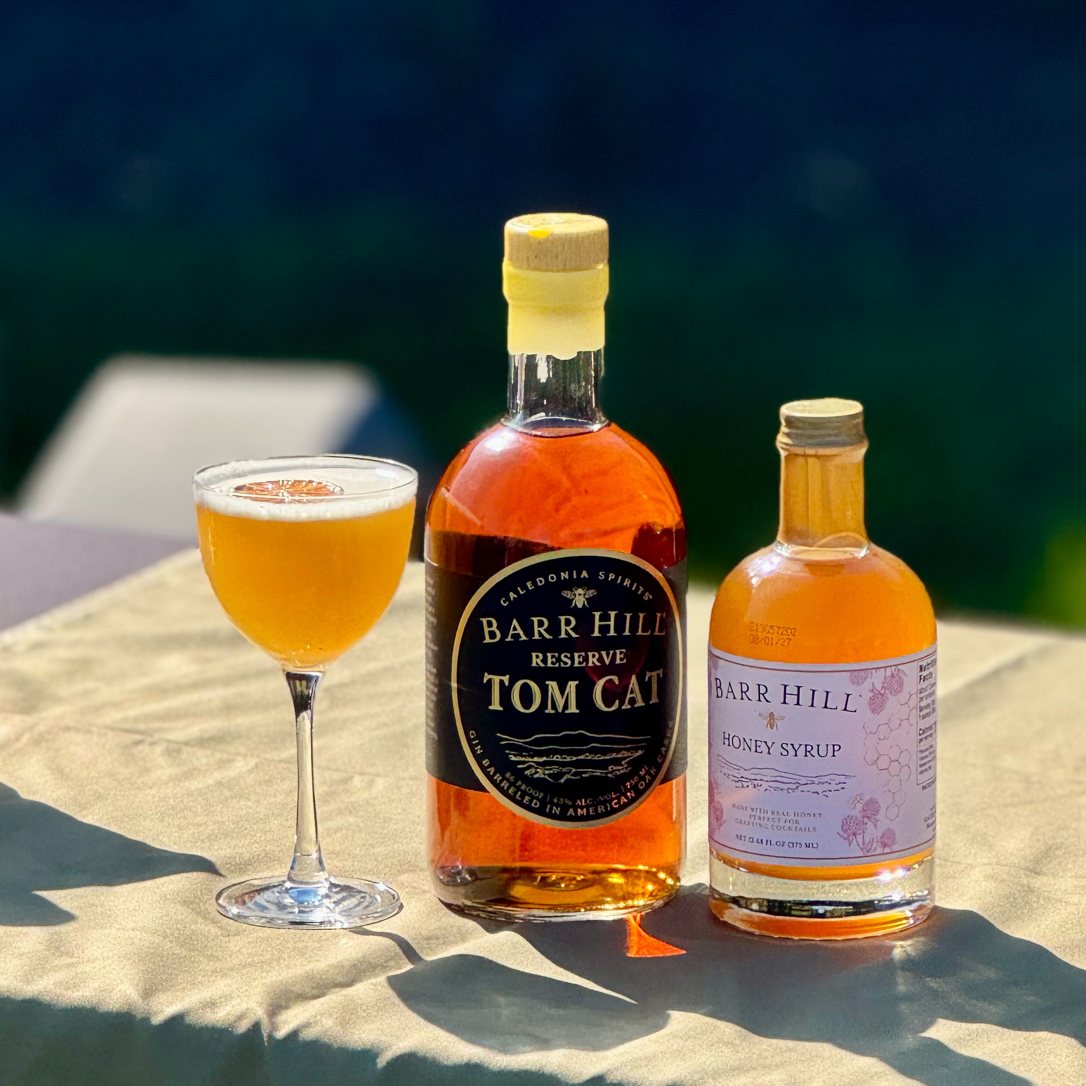 A Bee's Knees cocktail next to a bottle of Barr Hill Tom Cat Gin and Barr Hill Honey Syrup on a table with a blurred outdoor background
