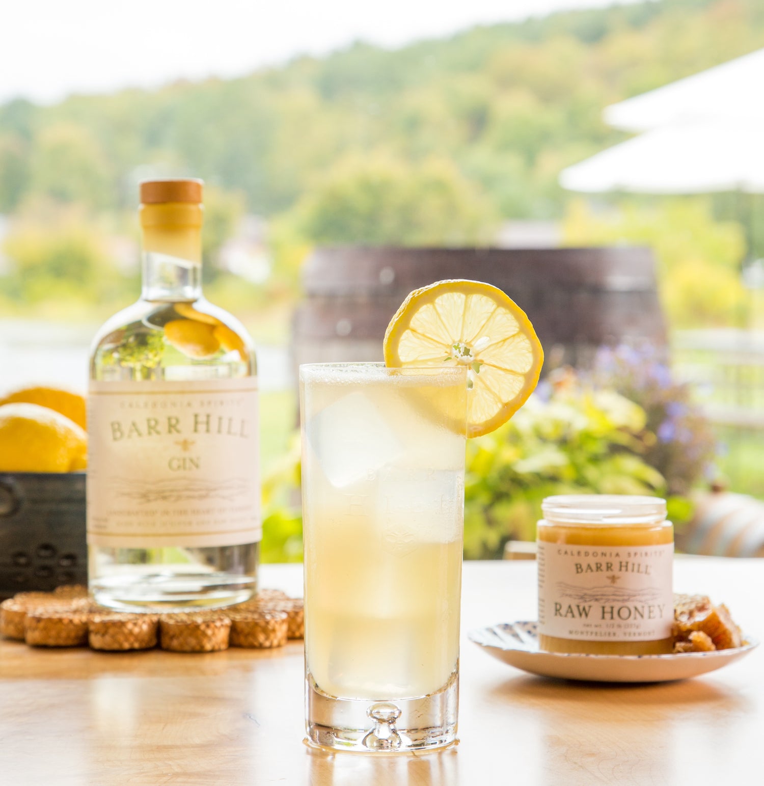 Honey Collins Cocktail in a glass with a lemon garnish with a bottle of Barr Hill Gin in the background
