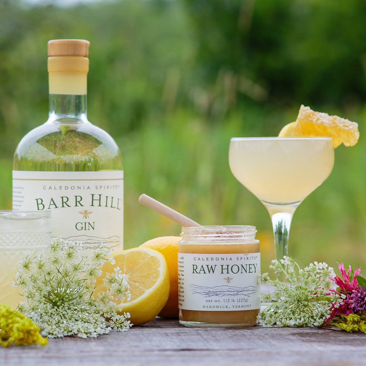 Barr Hill Bee's Knees Cocktail featuring Barr Hill Gin and Raw Honey. 