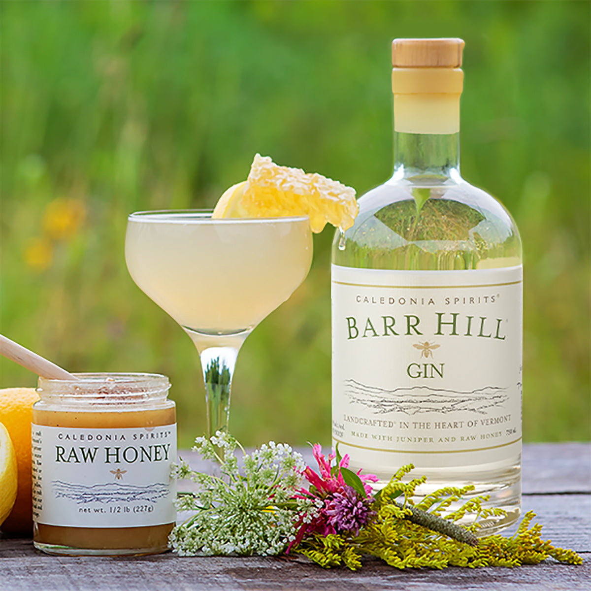 Barr Hill Gin